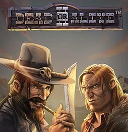 ???????? wms slot ???????????????