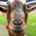 ?????? ??? 100 ???????? 10 ??? 100 ?? ???