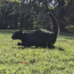 ????????????????????? ?????????????????