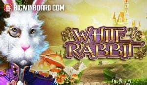 ????????? ufabet ?????? ??? ??? ???? ??? ?????????????????